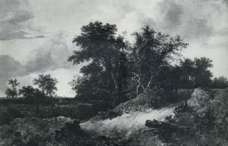 RUISDAEL, Jacob Isaackszon van House in a Grove